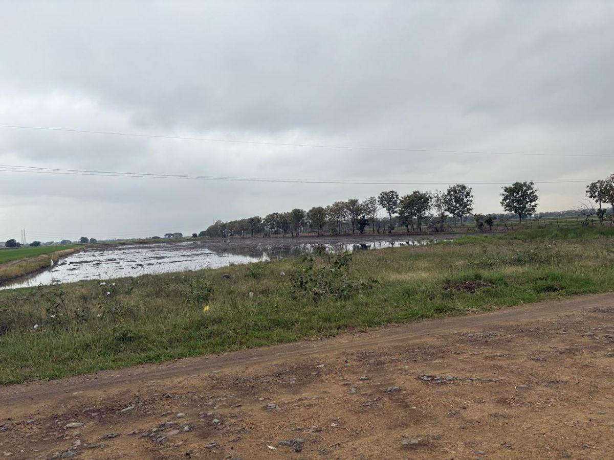 Samborondón, Salitre. Venta de Terrenos y Macrolotes Residencial, Comercial, Industrial, Guayas — imagen 3