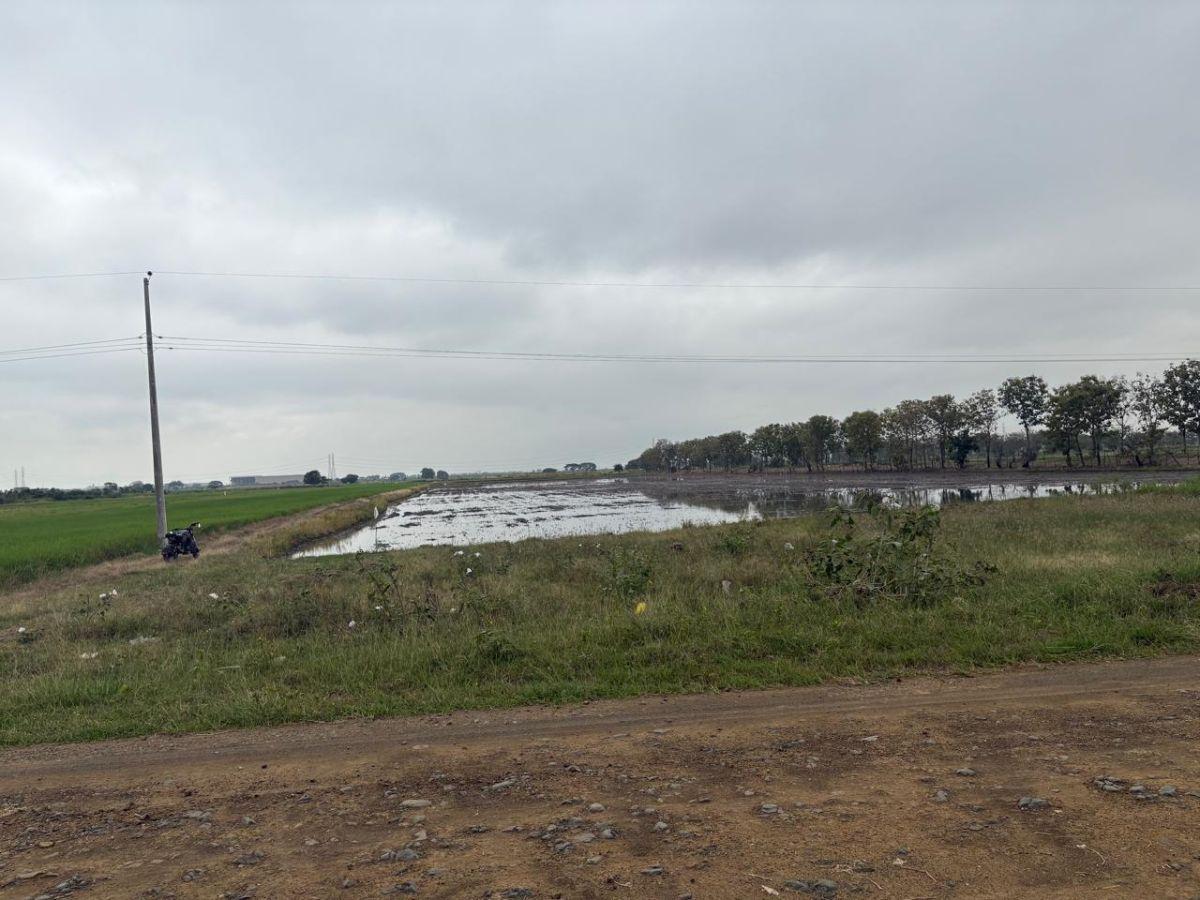 Samborondón, Salitre. Venta de Terrenos y Macrolotes Residencial, Comercial, Industrial, Guayas — imagen 2