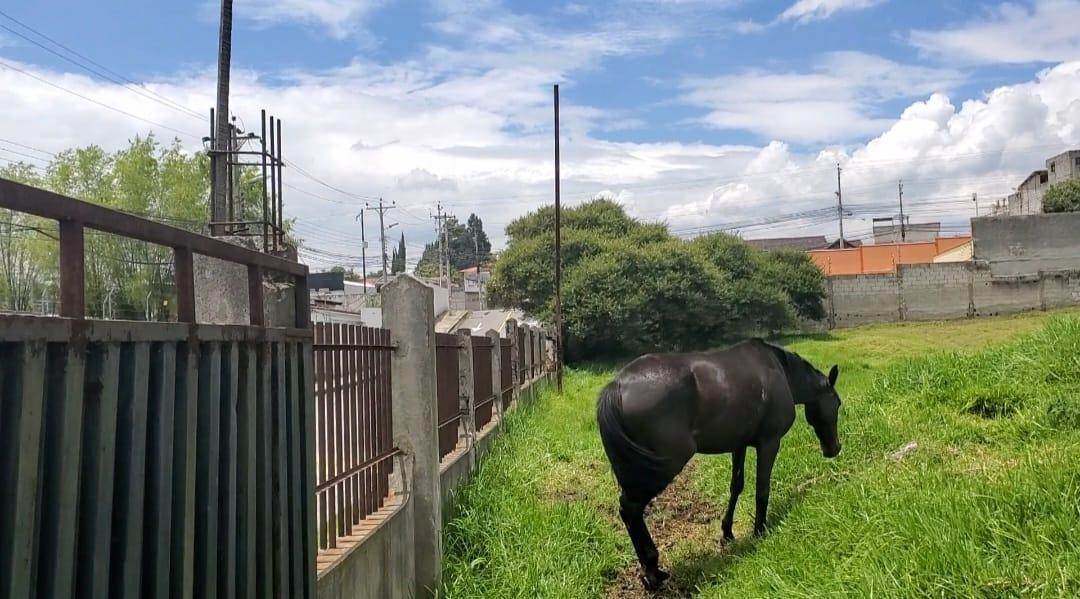 Terreno en Sangolqui, Sector El Rancho, El Colibri — imagen 5