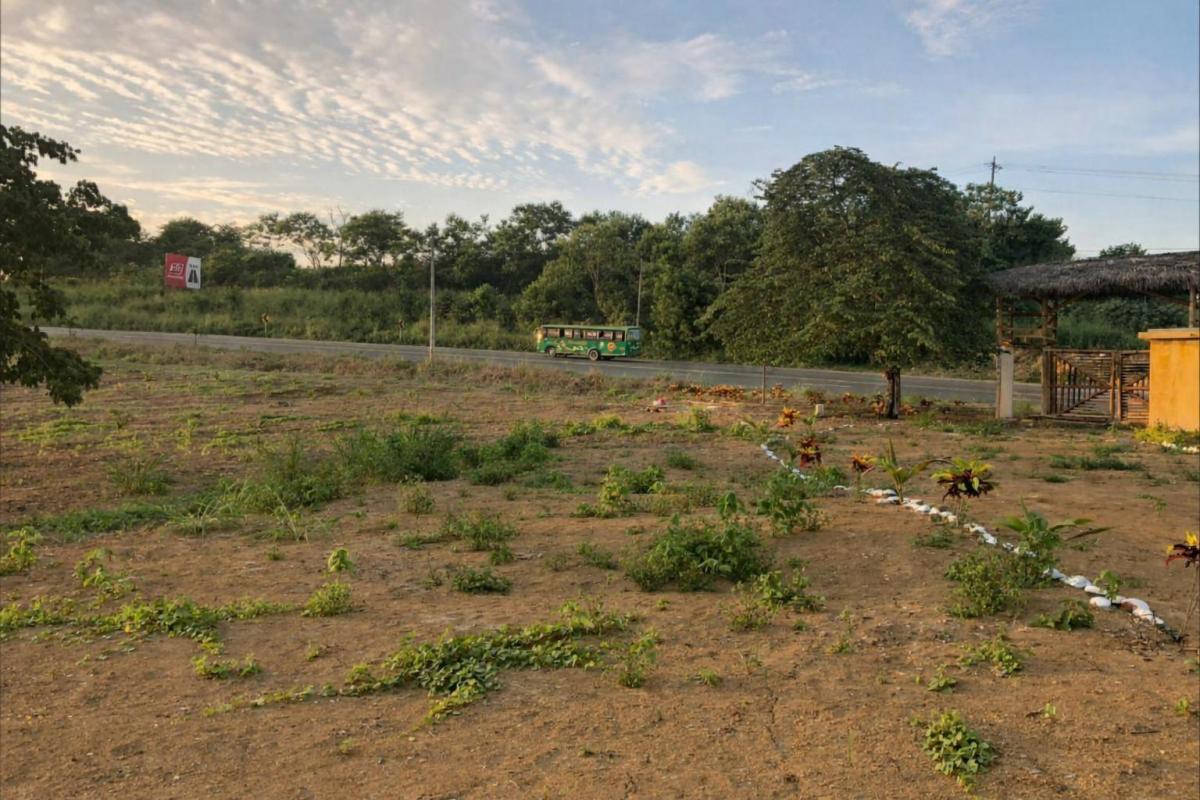 Venta Lotes de Terreno Tonsupa, Vía Principal /ep — imagen 10
