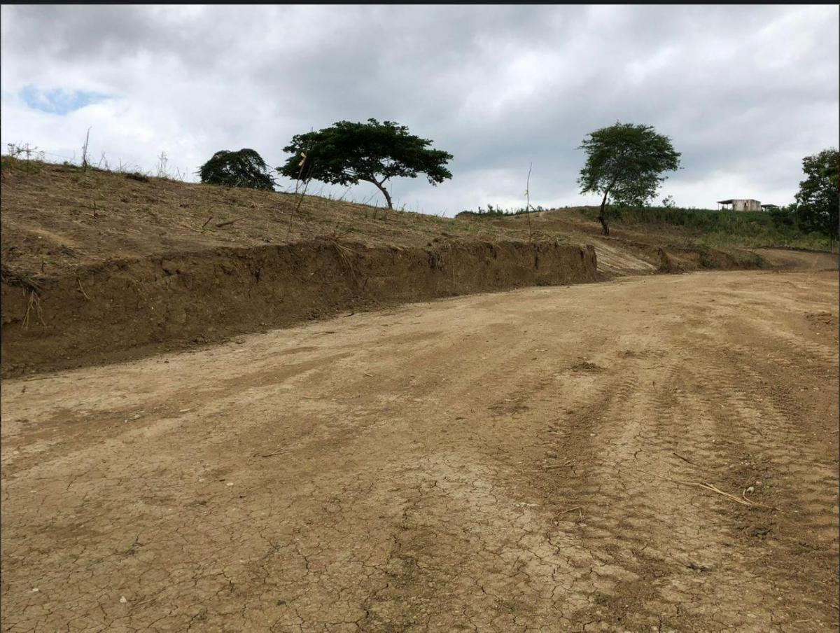 Venta Lotes de Terreno Tonsupa, Vía Principal /ep — imagen 8