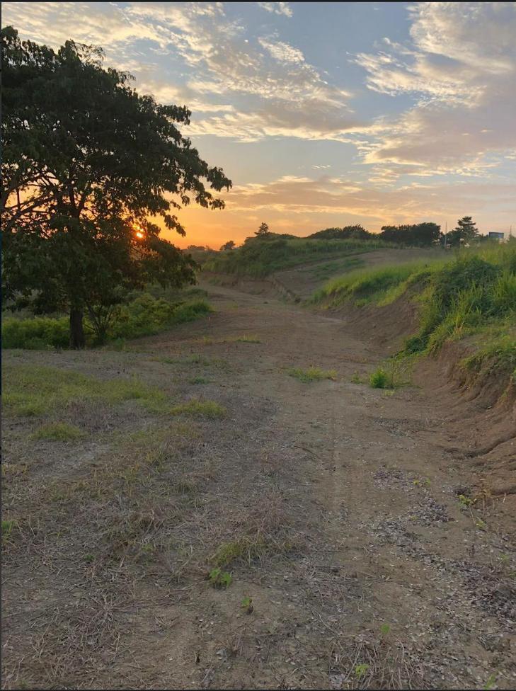 Venta Lotes de Terreno Tonsupa, Vía Principal /ep — imagen 6