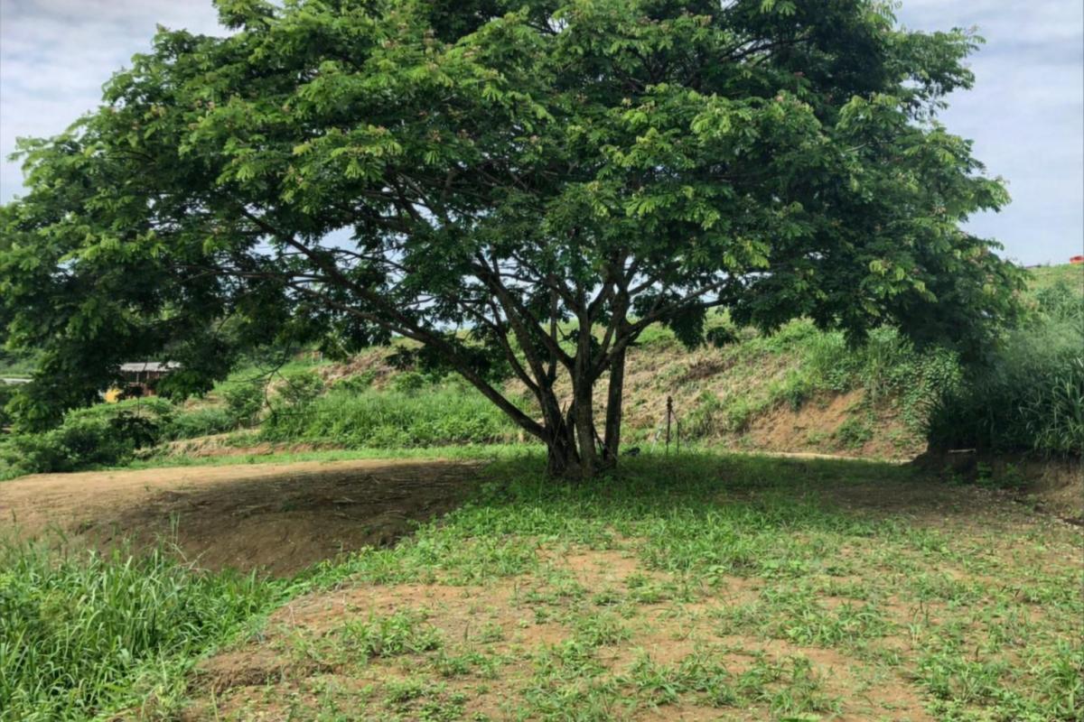 Venta Lotes de Terreno Tonsupa, Vía Principal /ep — imagen 4