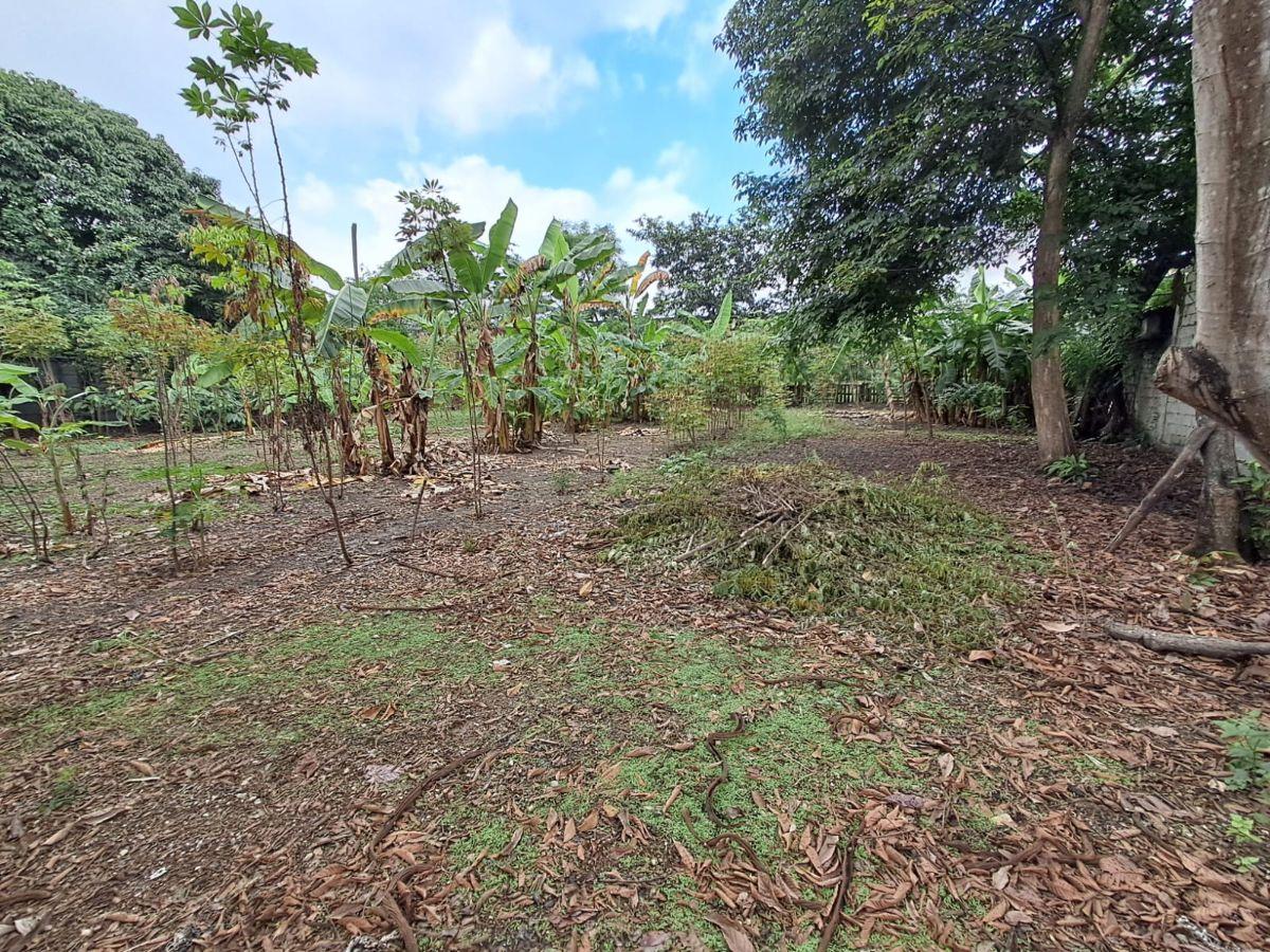 Terreno en Venta 3.900 m² - Vía a Daule Km 15 - Norte de Guayaquil - Uso Industrial, Guayas — imagen 4