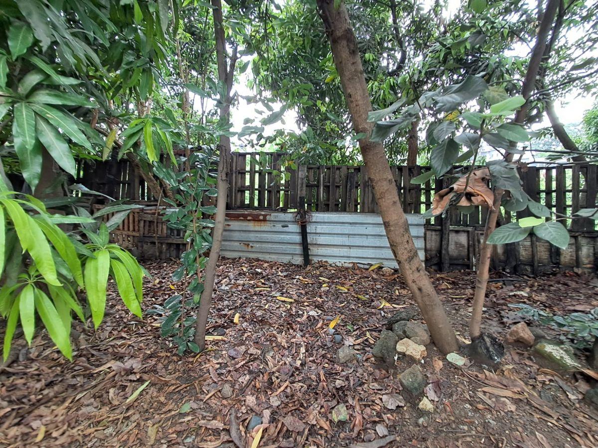 Terreno en Venta 3.900 m² - Vía a Daule Km 15 - Norte de Guayaquil - Uso Industrial, Guayas — imagen 3
