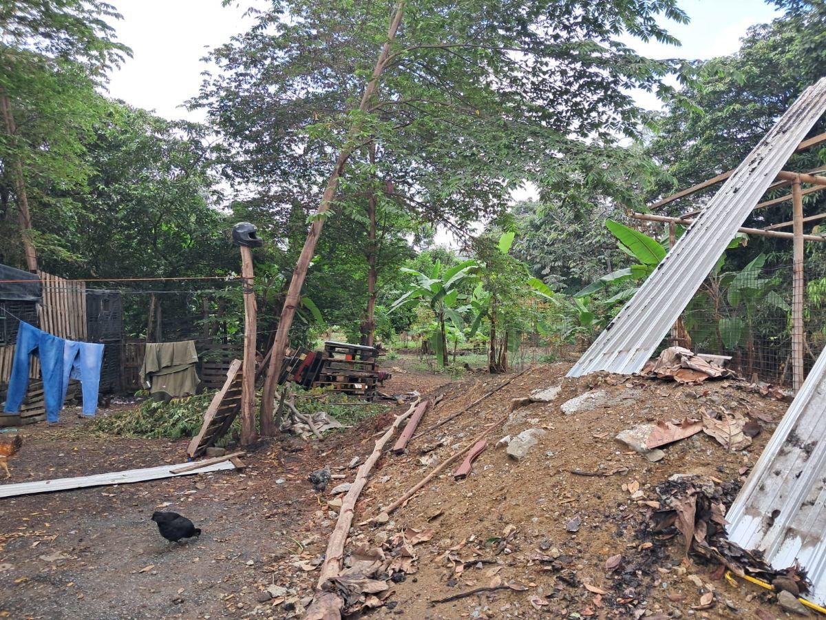 Terreno en Venta 3.900 m² - Vía a Daule Km 15 - Norte de Guayaquil - Uso Industrial, Guayas — imagen 2