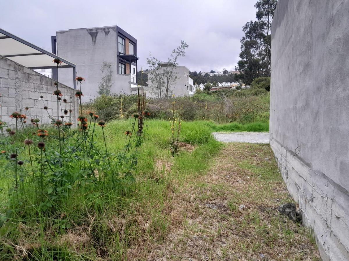 Terreno de 90 m² en Venta en Carcelén con Bbq y Cerramiento — imagen 10