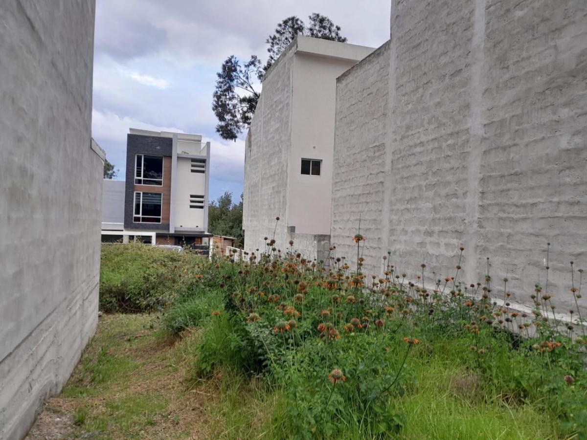 Terreno de 90 m² en Venta en Carcelén con Bbq y Cerramiento — imagen 9