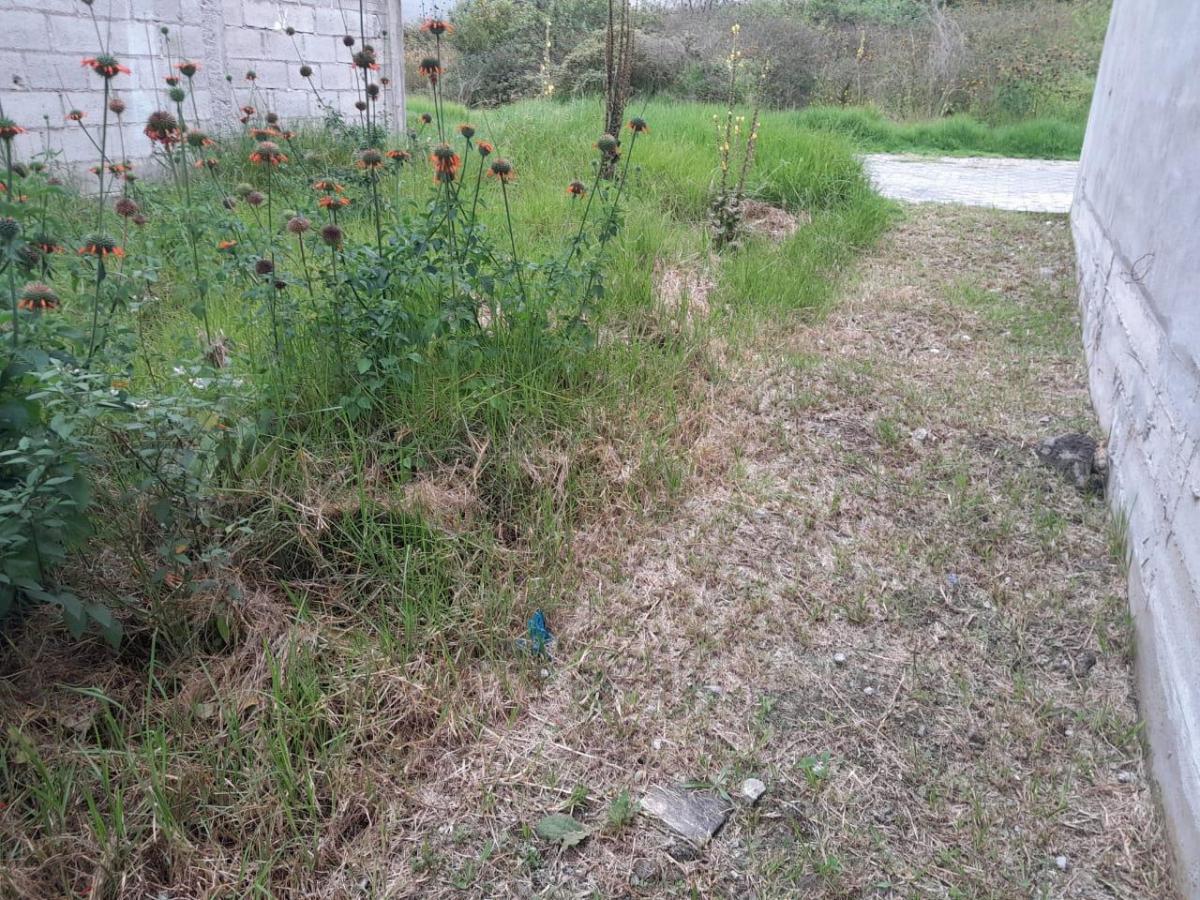 Terreno de 90 m² en Venta en Carcelén con Bbq y Cerramiento — imagen 6