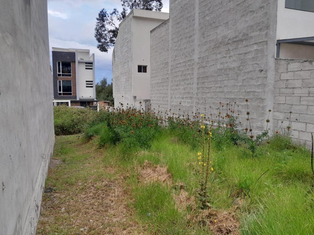 Terreno de 90 m² en Venta en Carcelén con Bbq y Cerramiento — imagen 4