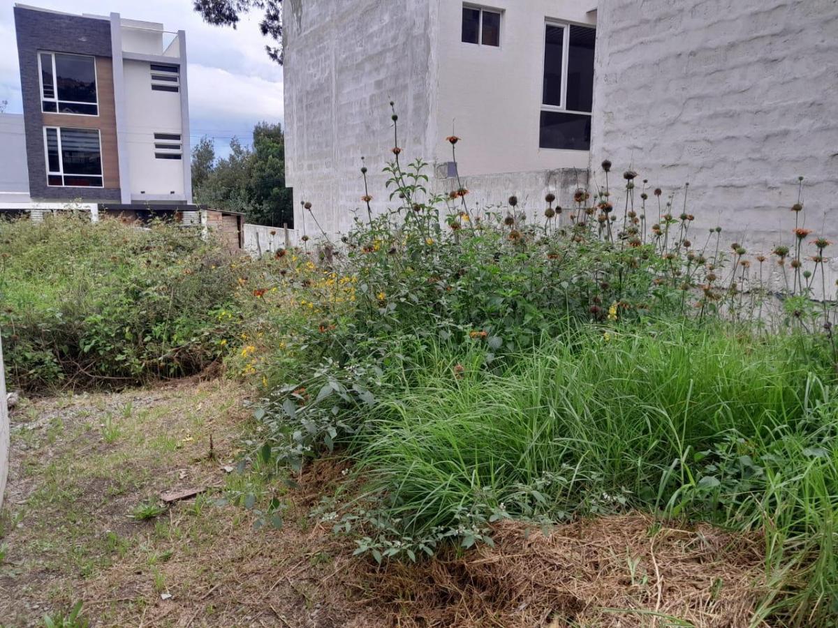 Terreno de 90 m² en Venta en Carcelén con Bbq y Cerramiento — imagen 3