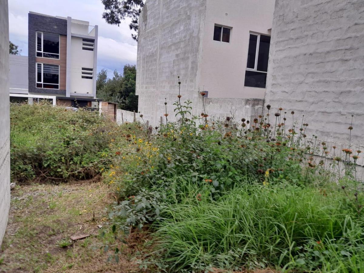 Terreno de 90 m² en Venta en Carcelén con Bbq y Cerramiento — imagen 2