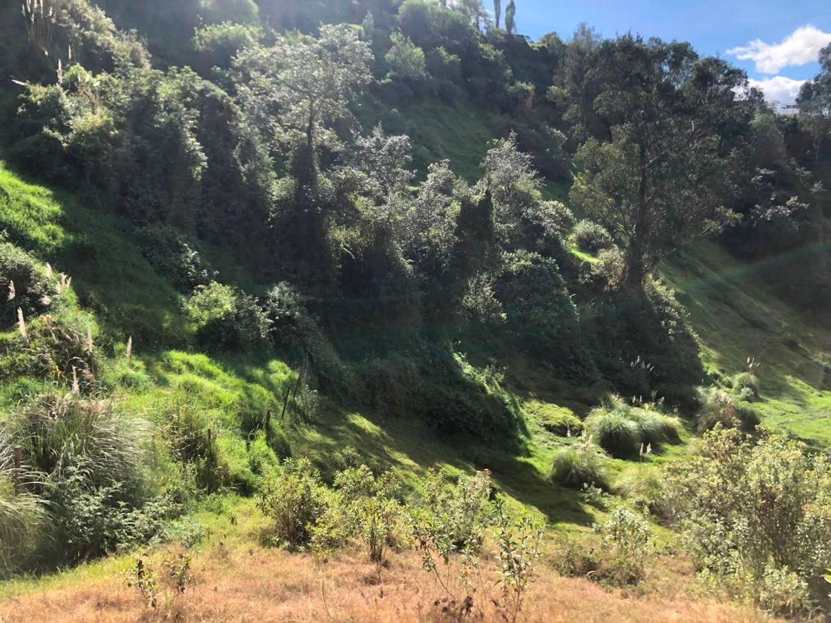 Terreno en Venta, Autopista General Rumiñahui — imagen 10