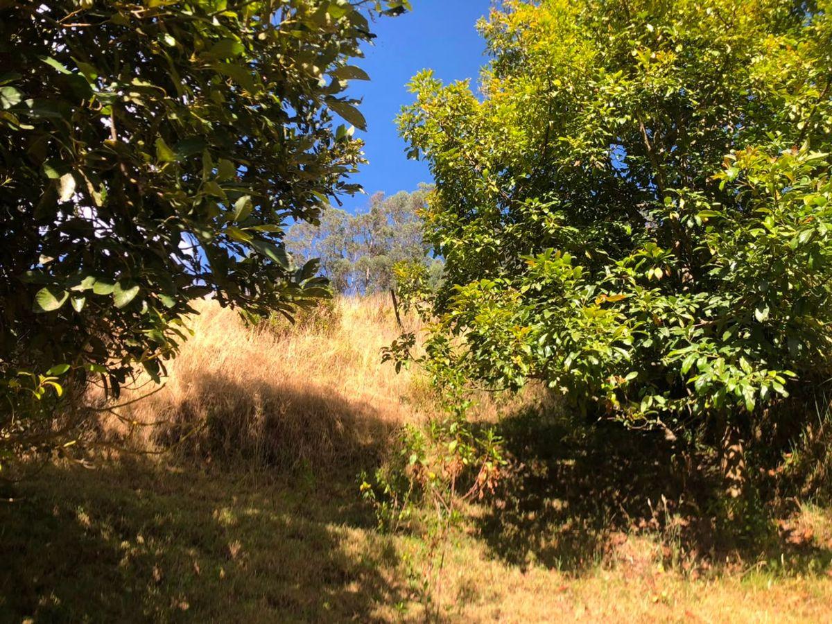 Terreno en Venta, Autopista General Rumiñahui — imagen 2