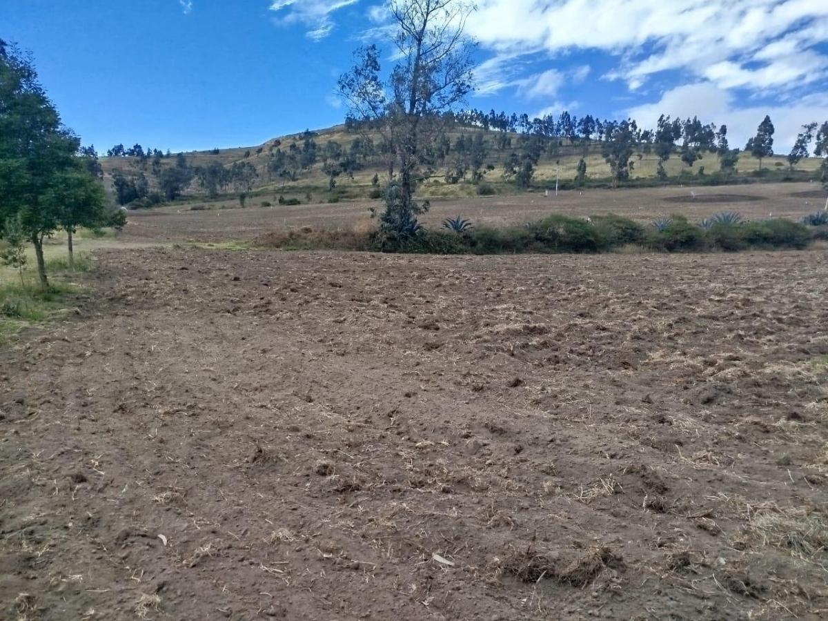 Terreno en Venta Apto Para Flores — imagen 8