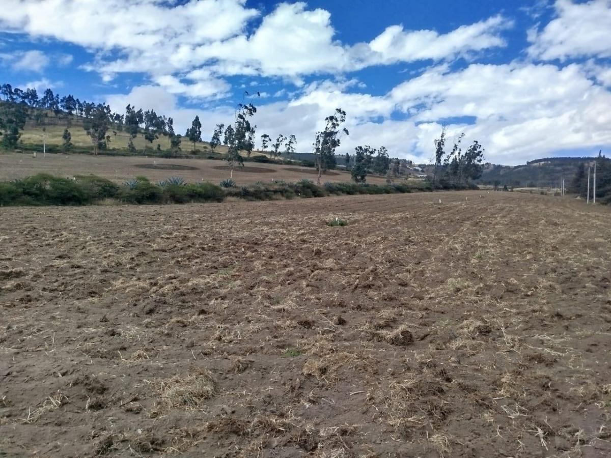 Terreno en Venta Apto Para Flores — imagen 7
