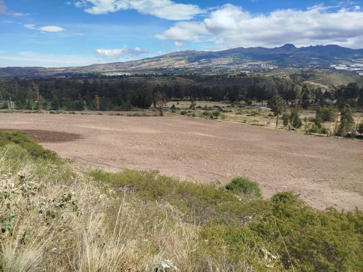 Terreno en Venta Apto Para Flores — imagen 6