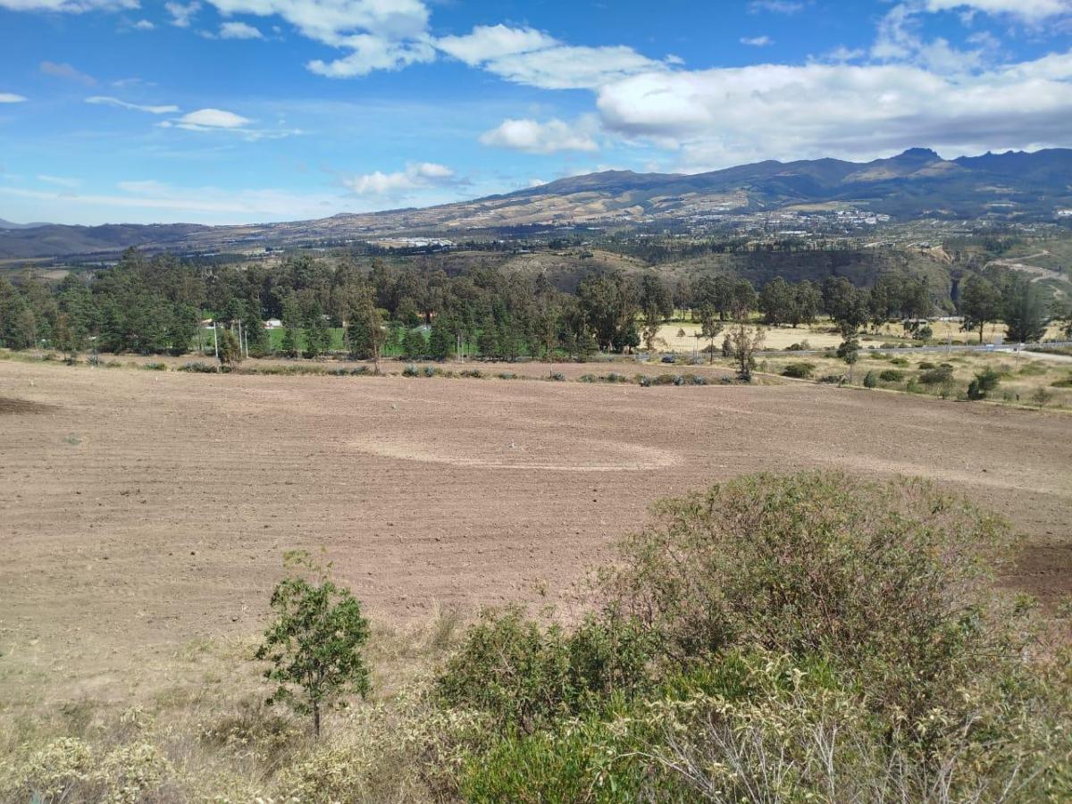 Terreno en Venta Apto Para Flores — imagen 4