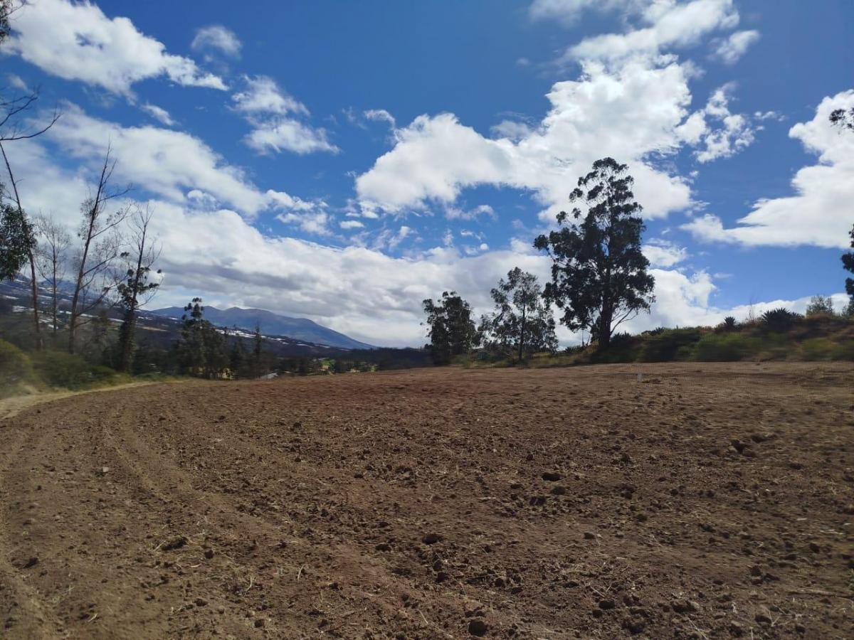 Terreno en Venta Apto Para Flores — imagen 3