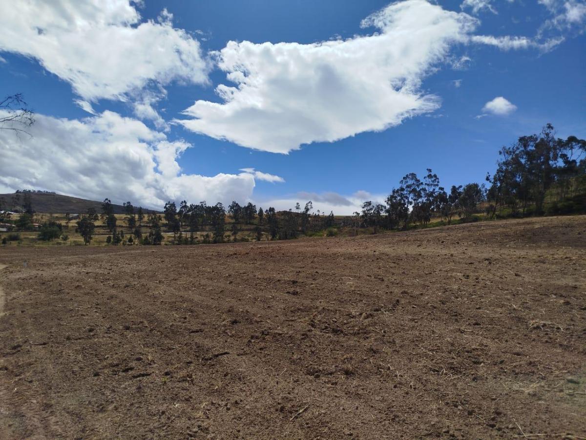 Terreno en Venta Apto Para Flores — imagen 2