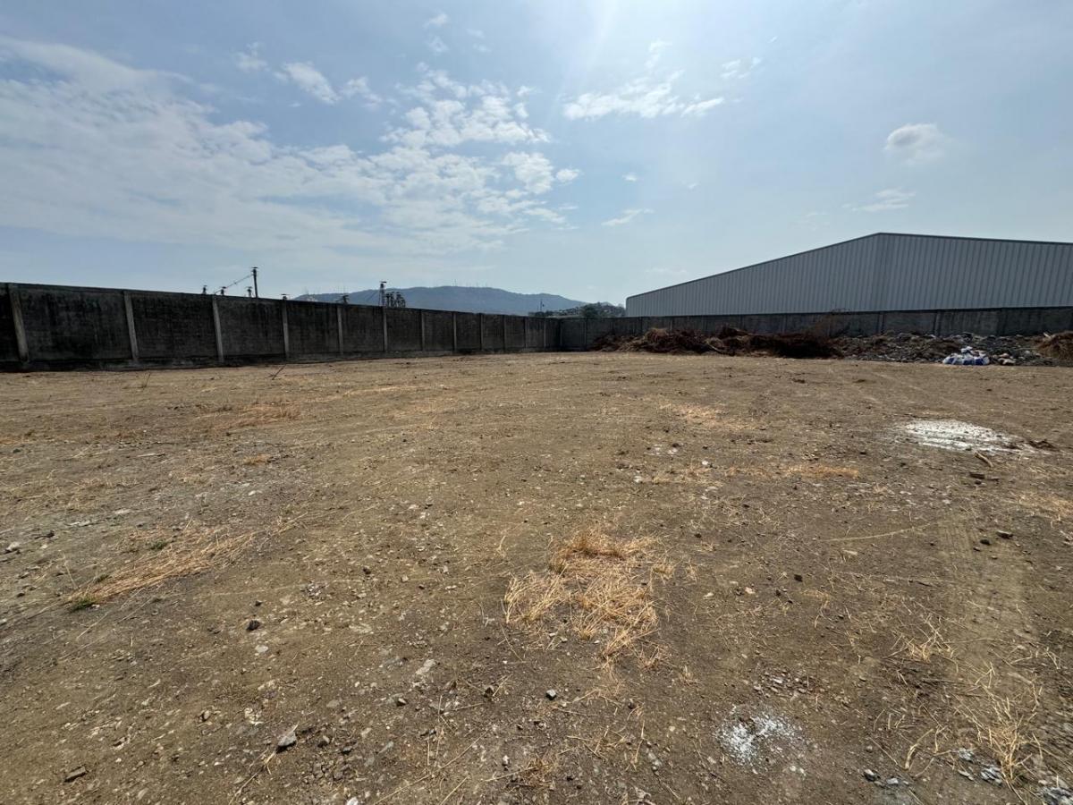 Terreno en Venta 900 m² - Rellenado - Vía a Daule Km 6, Norte de Guayaquil, Guayas — imagen 5