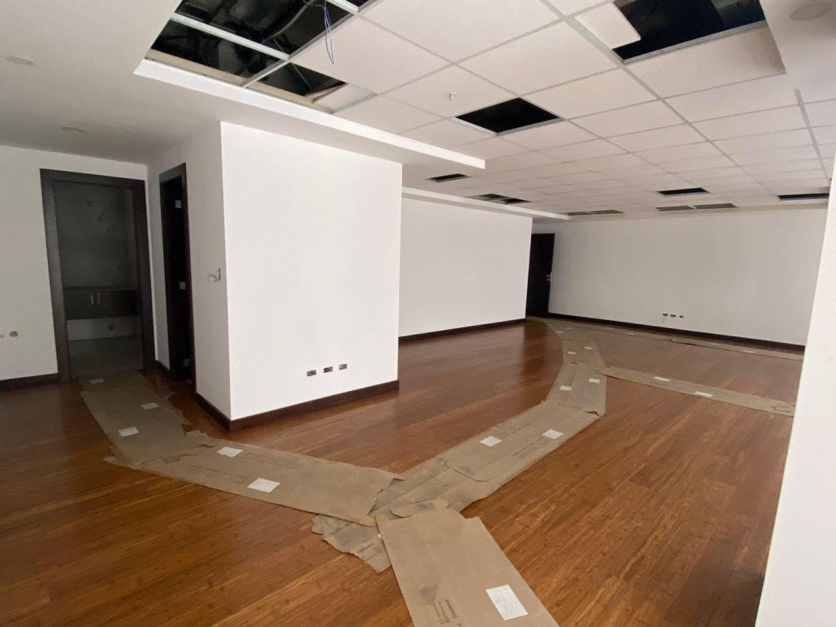 Venta Edificio de Oficinas y Penthouse, 8.804 m², a Estrenar, La Carolina — imagen 4