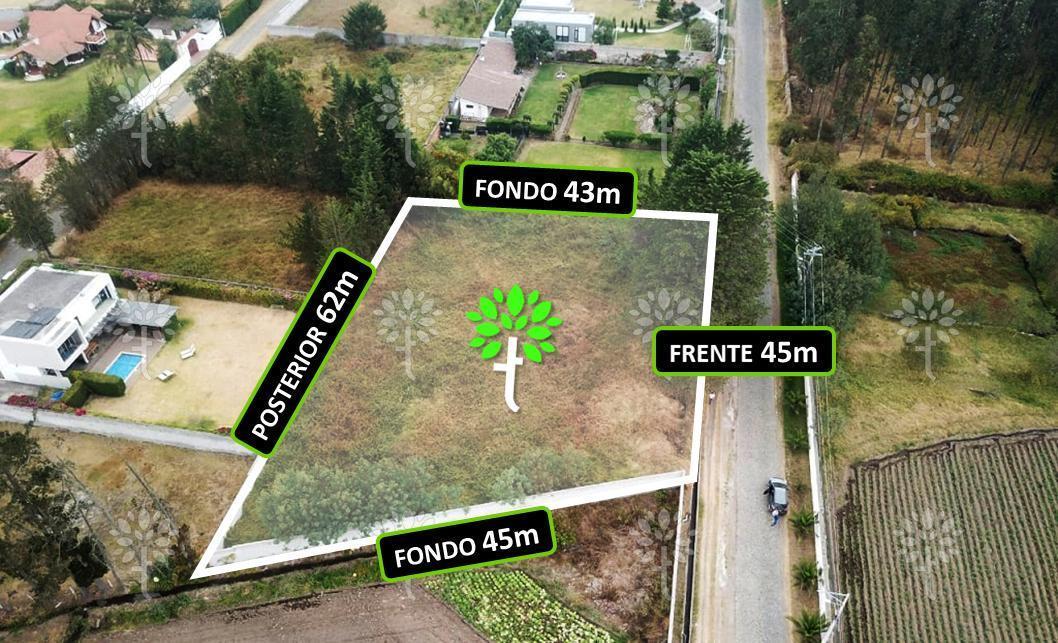 Terreno Independiente de Renta en Puembo de 2.121 m² — imagen 8