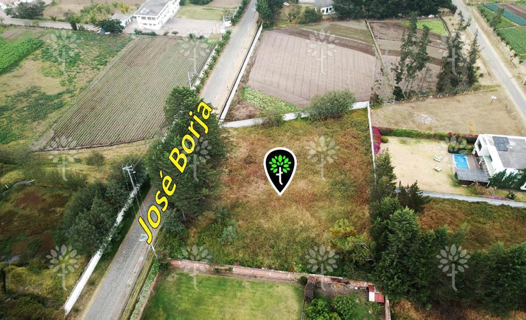 Terreno Independiente de Renta en Puembo de 2.121 m² — imagen 6