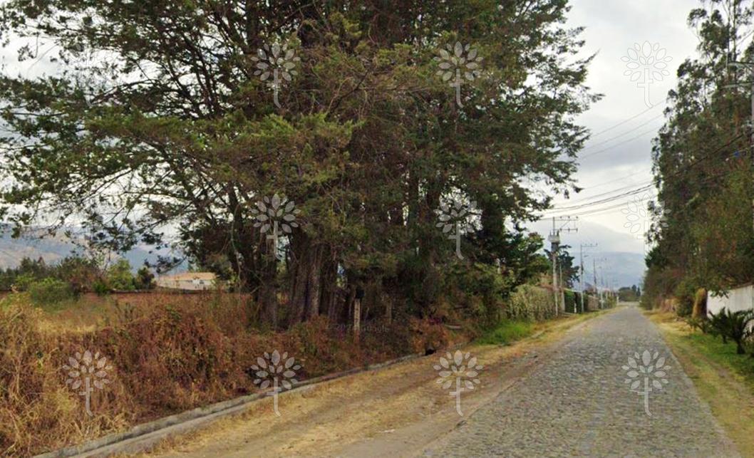 Terreno Independiente de Renta en Puembo de 2.121 m² — imagen 5