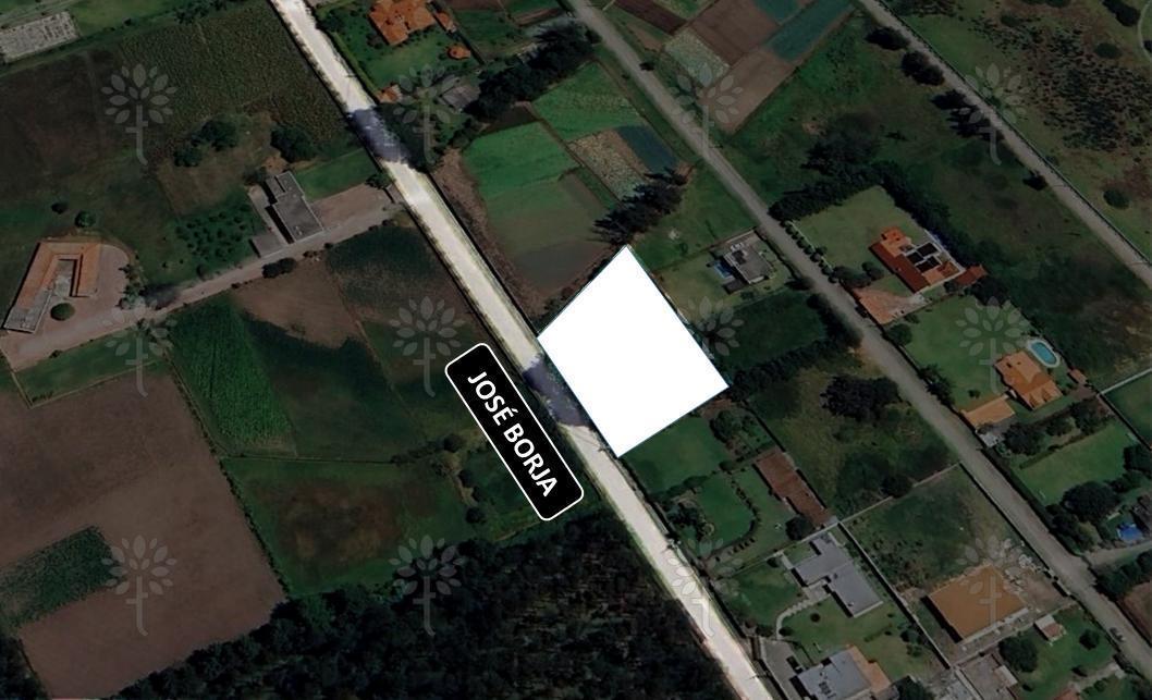 Terreno Independiente de Renta en Puembo de 2.121 m² — imagen 4
