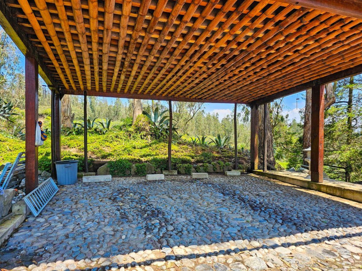 Tanda, Casa Independiente con 4500 m² Terreno y Seguridad 24 - 7 — imagen 6
