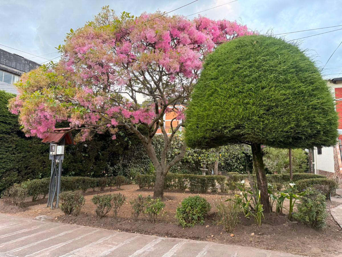 En Venta Casa en Conjunto Privado Sector Caminos del Sur — imagen 7