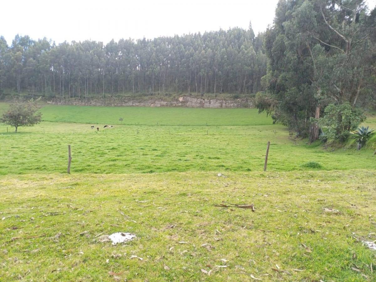 Terreno en Venta Sector Cayambe — imagen 8