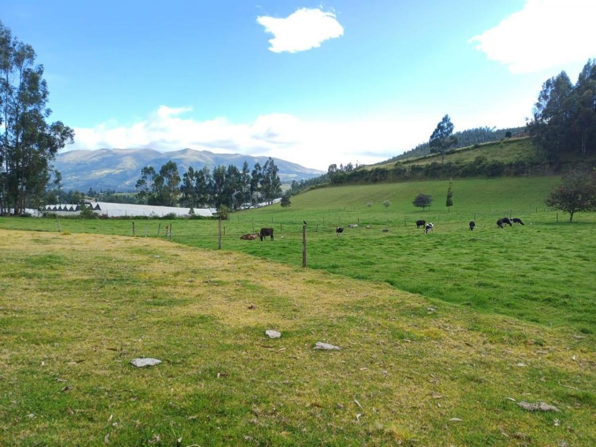 Terreno en Venta Sector Cayambe — imagen 7