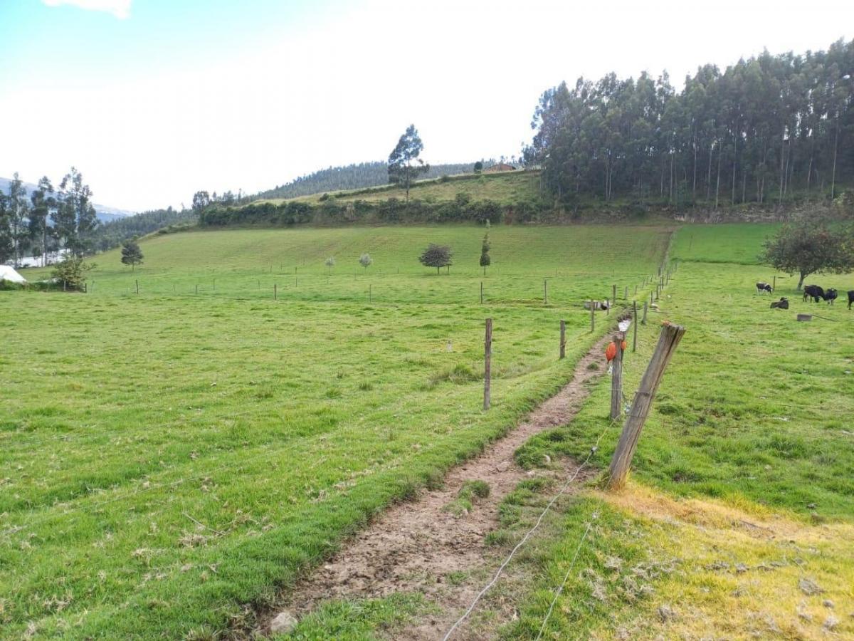 Terreno en Venta Sector Cayambe — imagen 6
