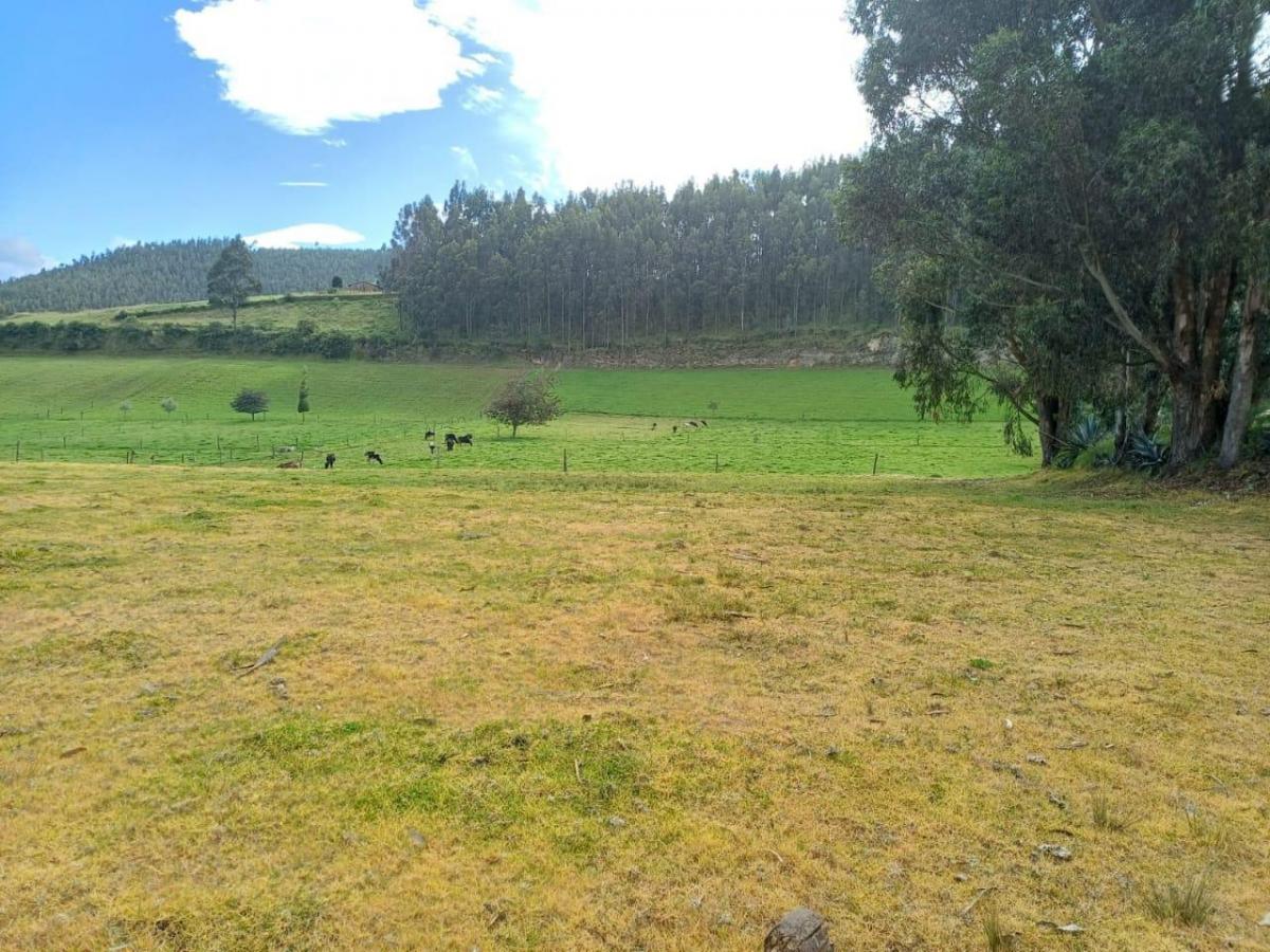 Terreno en Venta Sector Cayambe — imagen 5