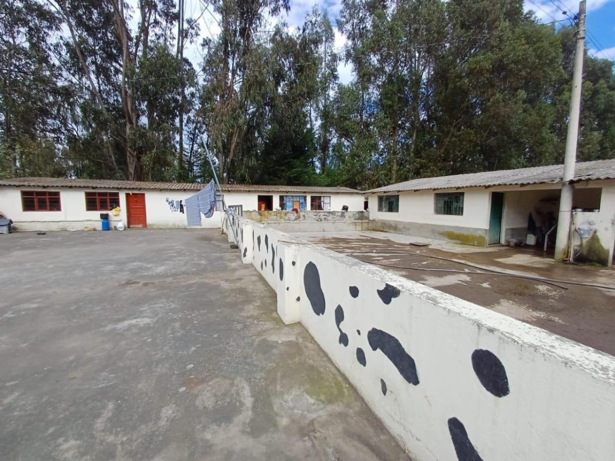 Terreno en Venta Sector Cayambe — imagen 4