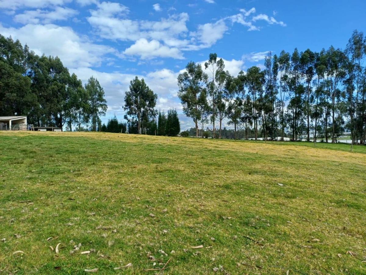 Terreno en Venta Sector Cayambe — imagen 3