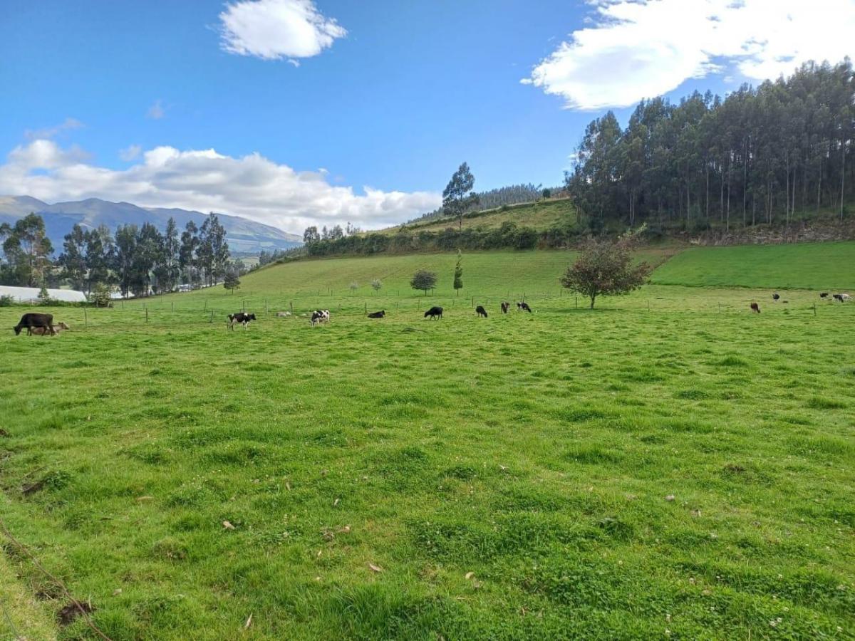 Terreno en Venta Sector Cayambe — imagen 2