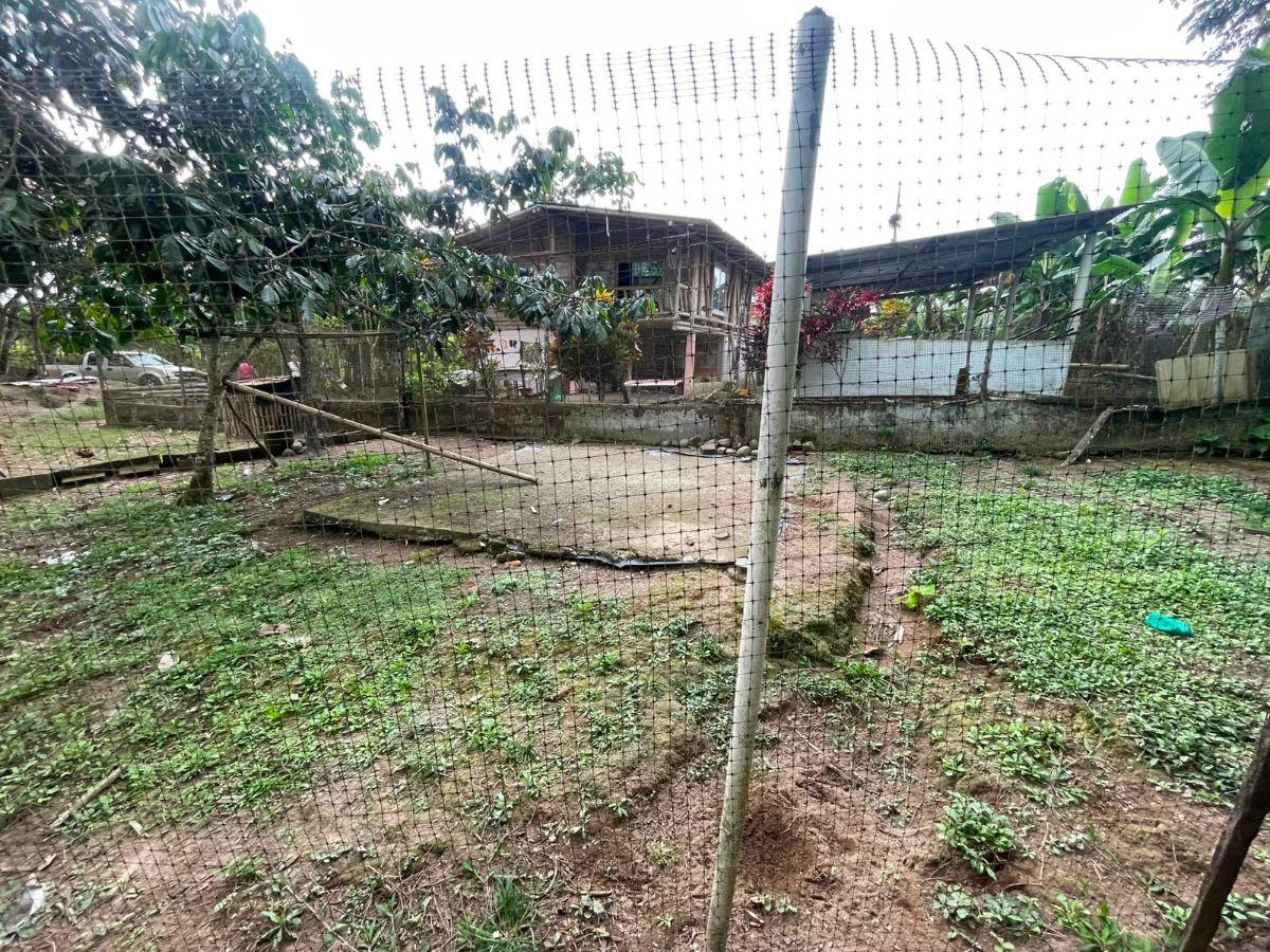 Quinta en Venta La Alianza - Las Mercedes — imagen 5
