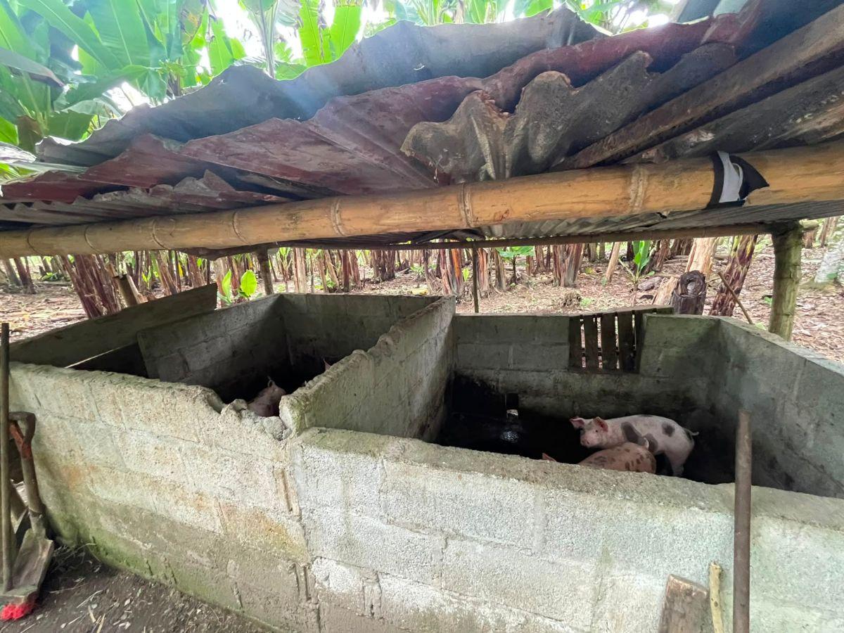 Quinta en Venta La Alianza - Las Mercedes — imagen 3
