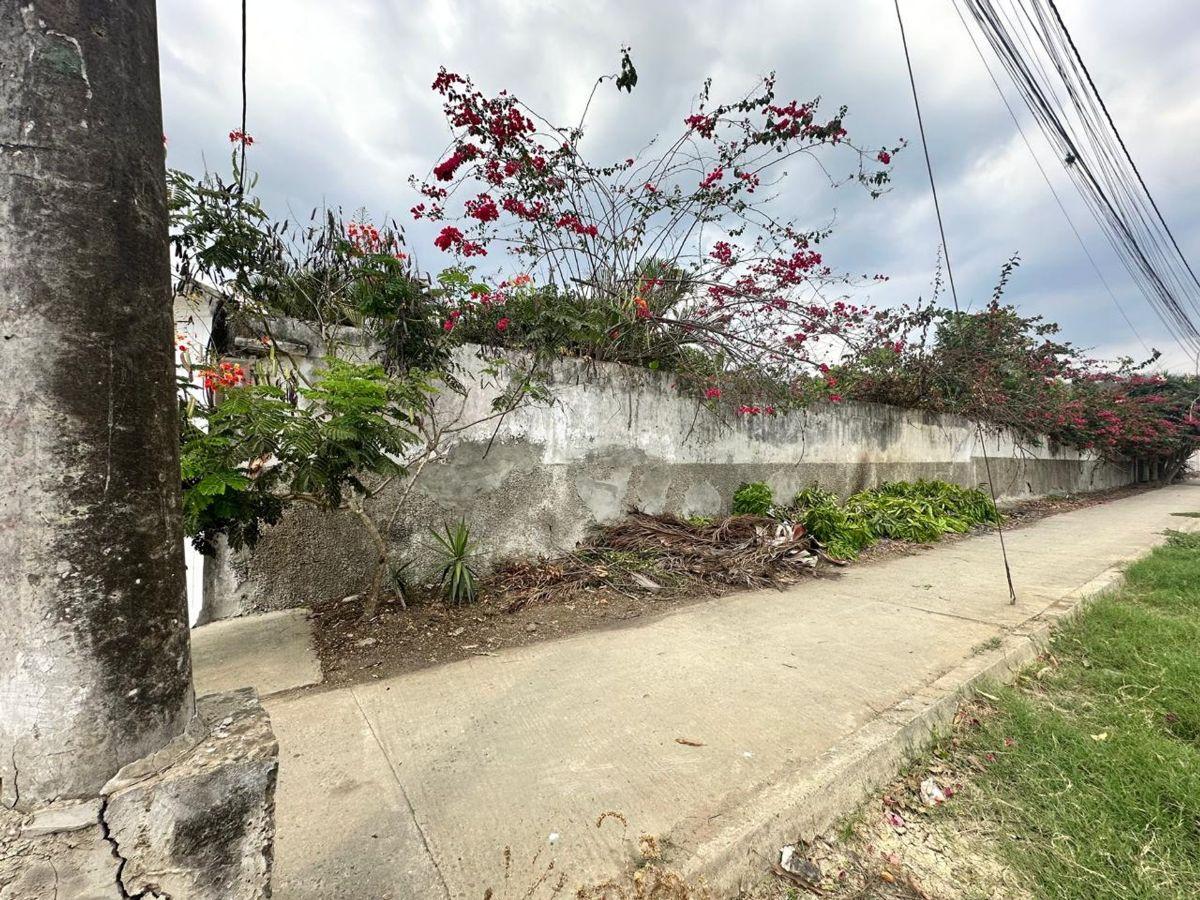 Terreno Esquinero de Venta en Jipijapa 2000 m², Manabí — imagen 10
