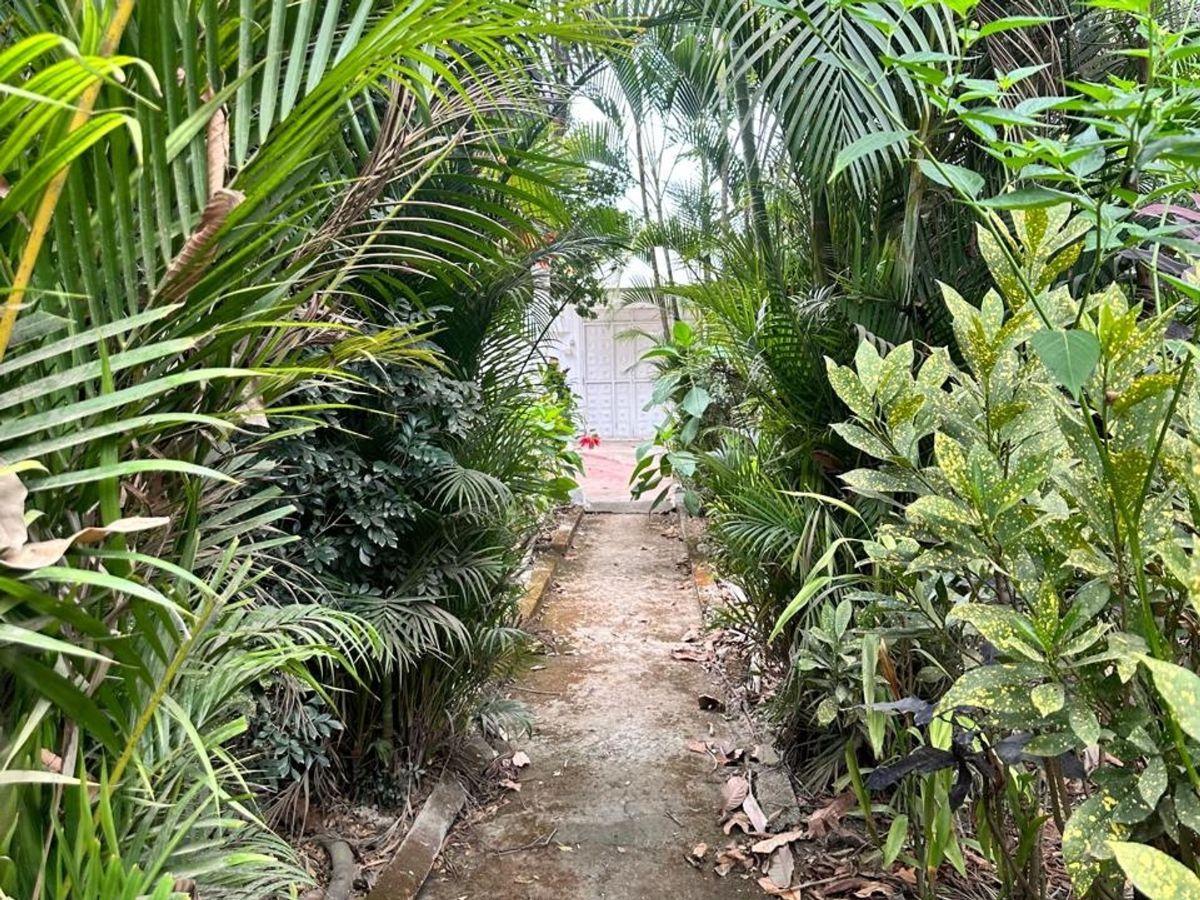 Terreno Esquinero de Venta en Jipijapa 2000 m², Manabí — imagen 4