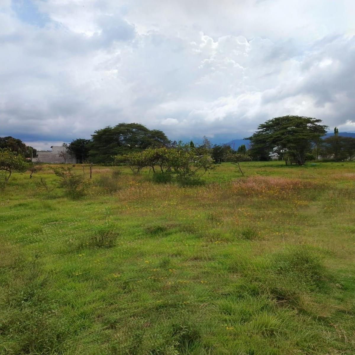 Venta en Tumbaco Terreno Plano en Collaqui — imagen 10