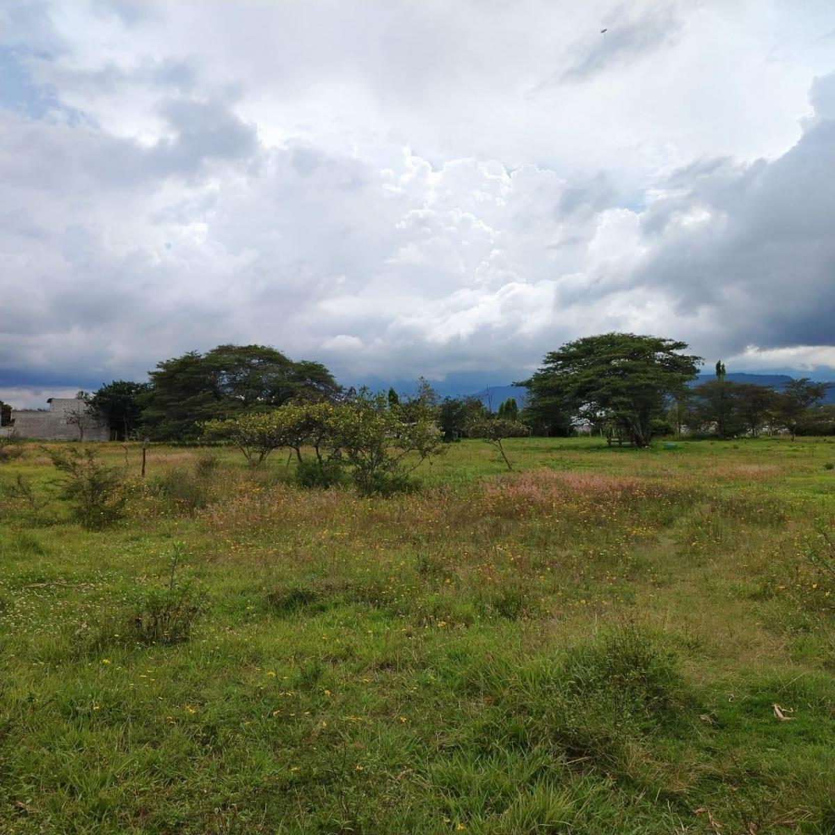 Venta en Tumbaco Terreno Plano en Collaqui — imagen 6