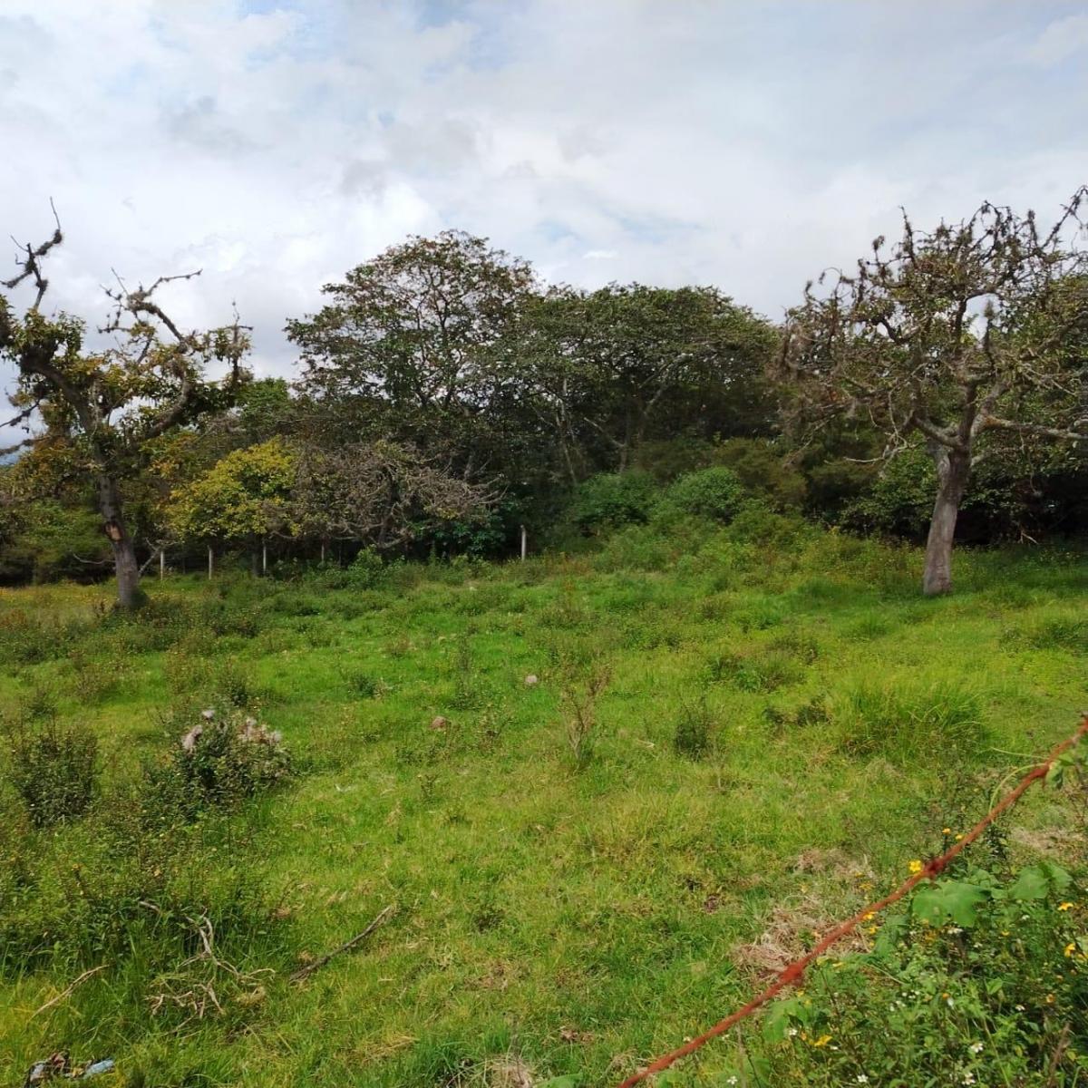 Venta en Tumbaco Terreno Plano en Collaqui — imagen 5