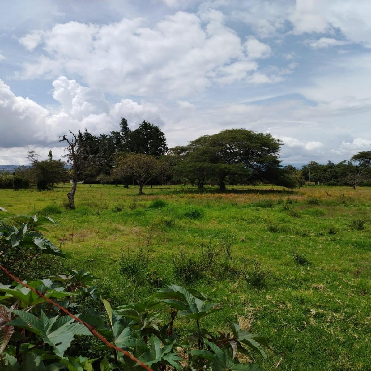 Venta en Tumbaco Terreno Plano en Collaqui — imagen 4