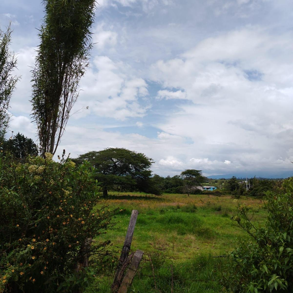 Venta en Tumbaco Terreno Plano en Collaqui — imagen 3