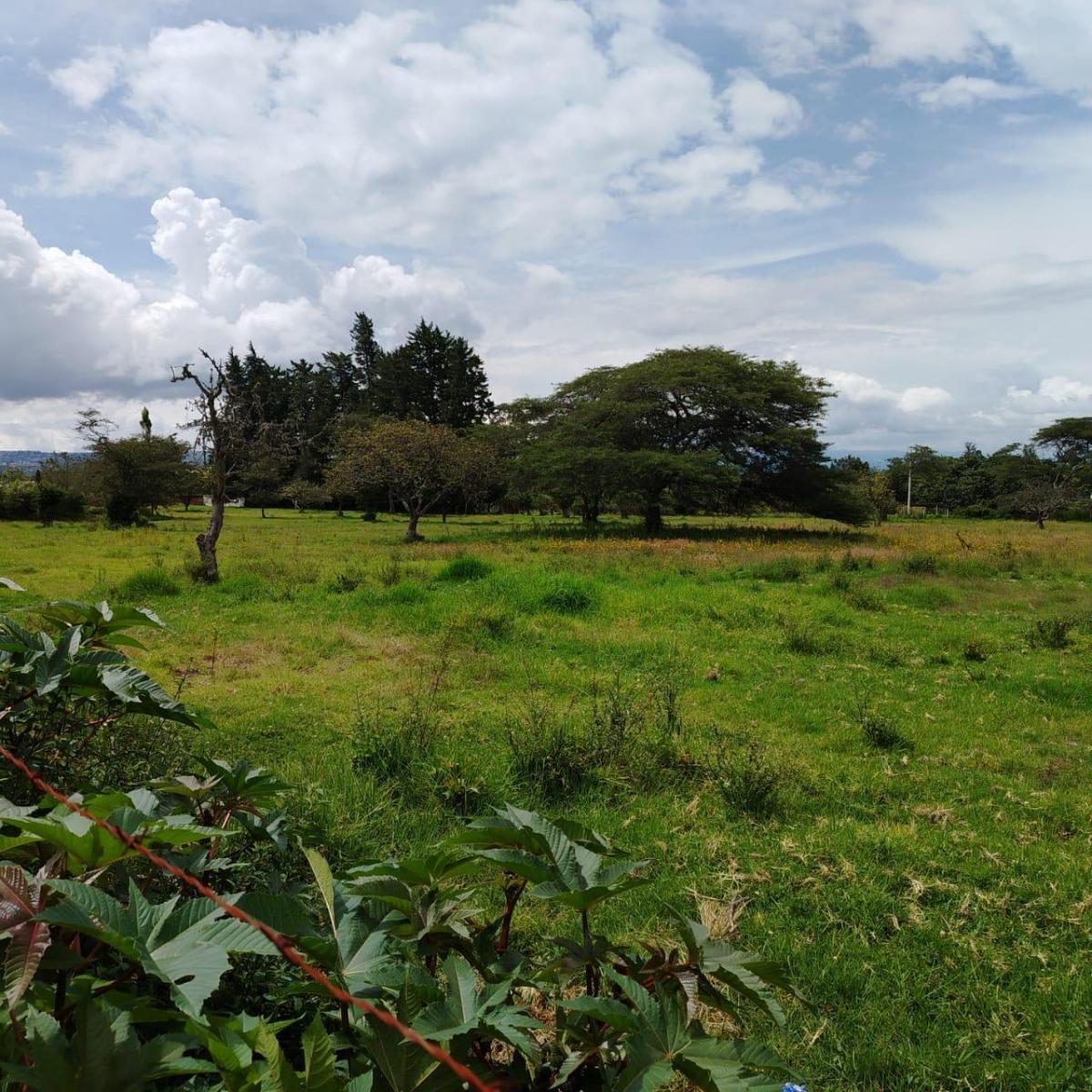 Venta en Tumbaco Terreno Plano en Collaqui — imagen 2