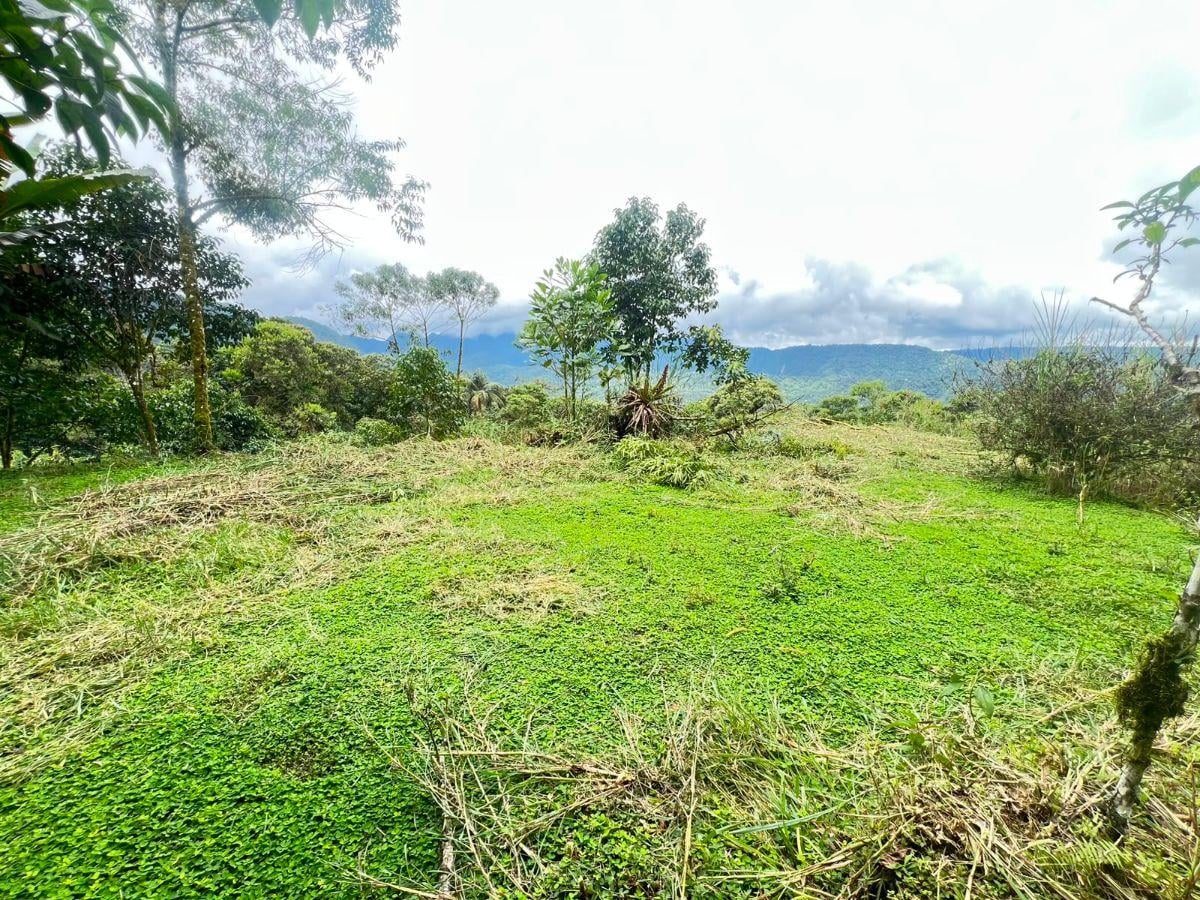 ️ For Sale – Excellent Land in Mindo - Ecuador — imagen 5